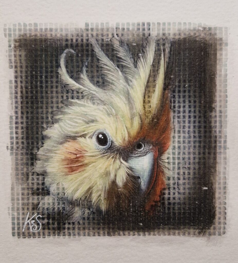 Watercolour pawtrait by Kerrel Deakin of a Lutino cockatiel (Nymphicus hollandicus) against a dark abstract background.