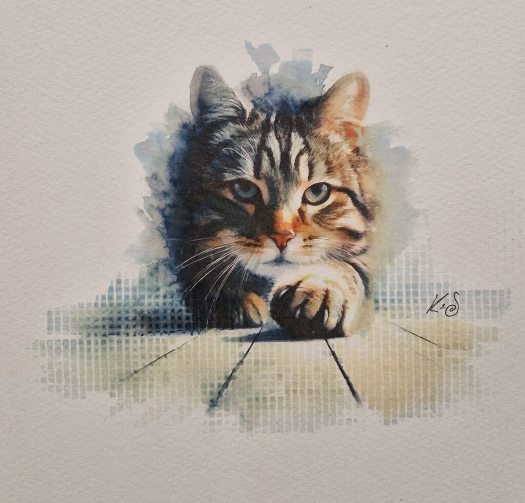 Watercolour pawtrait by Kerrel Deakin of a tabby cat (Felis catus) extending a paw across bare floorboards.
