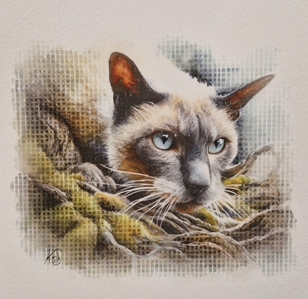 Watercolour pawtrait by Kerrel Deakin of a Siamese cat (Felis catus) hunting over mossy tree roots.