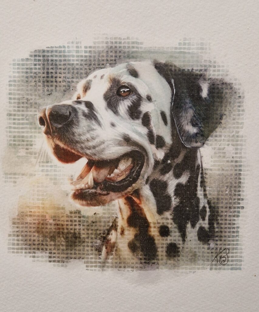 Watercolour pawtrait by Kerrel Deakin of a happy Dalmatian dog (Canis lupus familiaris) against an abstract background.