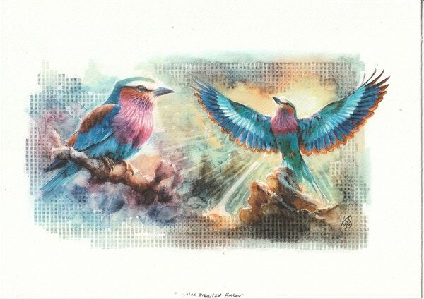 Watercolour painting by Kerrel Deakin of two Lilac-Breasted Rollers (Coracias caudatus) perched in an abstract background.