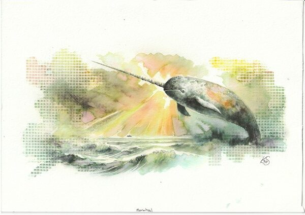 Watercolour painting by Kerrel Deakin of a Narwhal (Monodon monoceros) breaking the surface of a grey sea with an abstract sky behind.