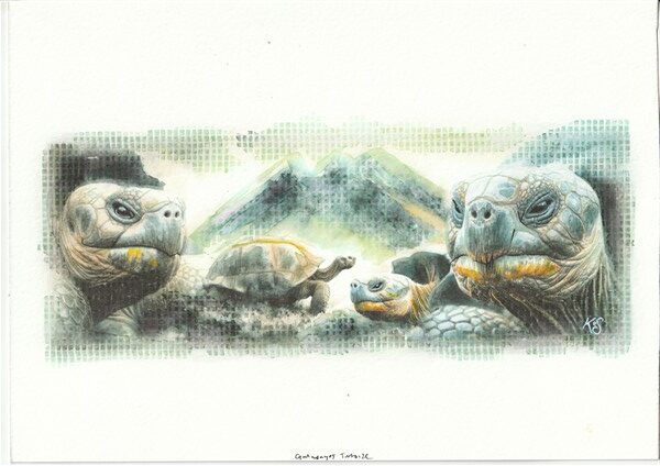 Watercolour painting by Kerrel Deakin of Galápagos tortoise (Chelonoidis niger) in an abstract rocky landscape.