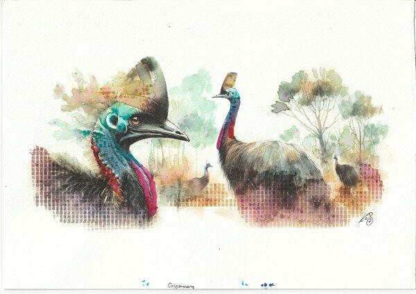 Watercolour painting by Kerrel Deakin of Southern Cassowaries (Casuarius casuarius) in an abstract wooded landscape.