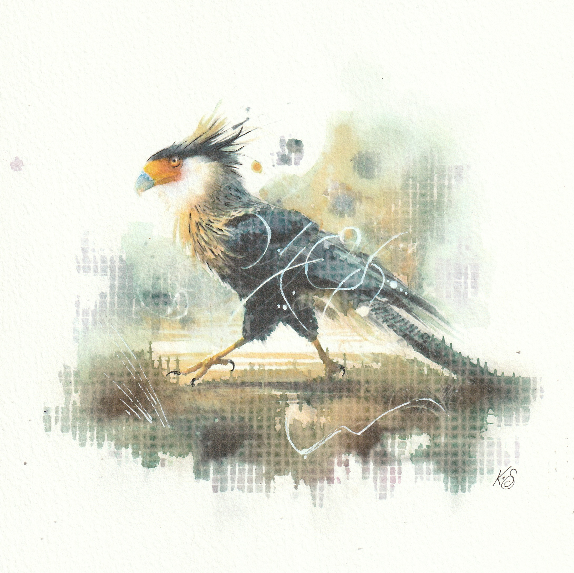 Watercolour painting by Kerrel Deakin of a crested caracara (Caracara plancus) in an abstract background.