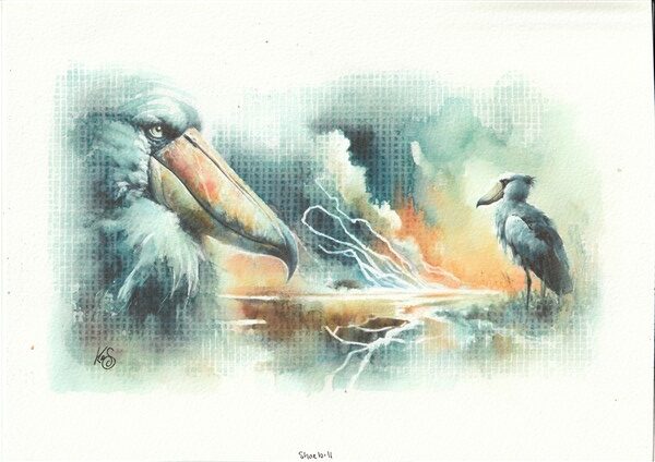 Watercolour painting by Kerrel Deakin of two Shoebills (Balaeniceps rex) in an abstract waterside background with dramatic clouds.