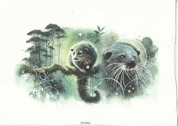 Watercolour painting by Kerrel Deakin of Binturongs (Arctictis binturong) on a mossy branch in a forest background.