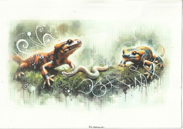 Watercolour painting by Kerrel Deakin of two Fire Salamanders (Salamandra salamandra) hunting a worm (Phylum: Annelida) in an abstract mossy landscape.