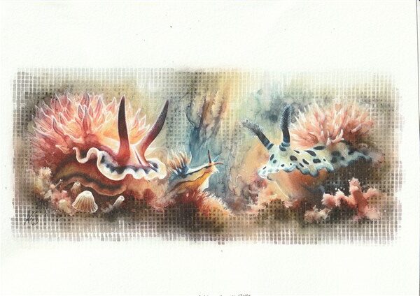 Watercolour painting by Kerrel Deakin of Nudibranch gastropods in an abstract oceanic background.