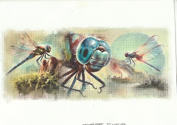 Watercolour painting by Kerrel Deakin of three dragonflies (infraorder Anisoptera) in an abstract landscape of mossy rock.