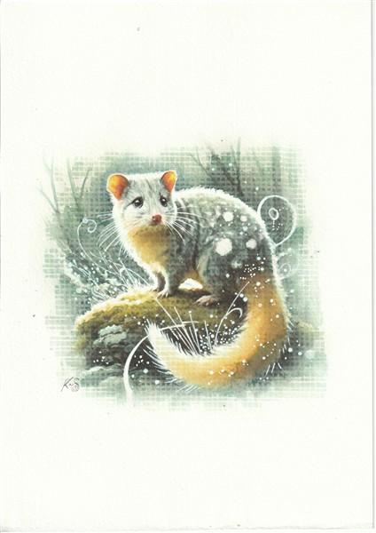 Watercolour painting by Kerrel Deakin of a Quoll (Genus: Dasyurus) on a mossy rock in an abstract wooded landscape.