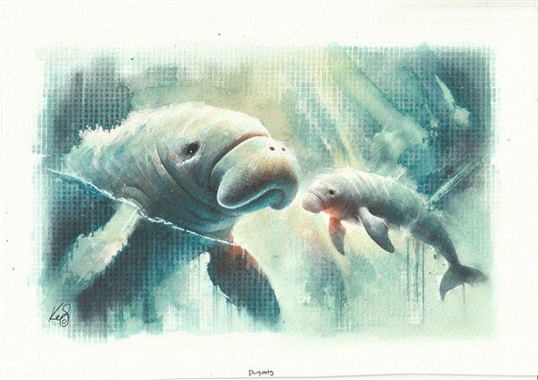 Watercolour painting by Kerrel Deakin of two Dugongs (Order: Sirenia) in an abstract aquatic background.