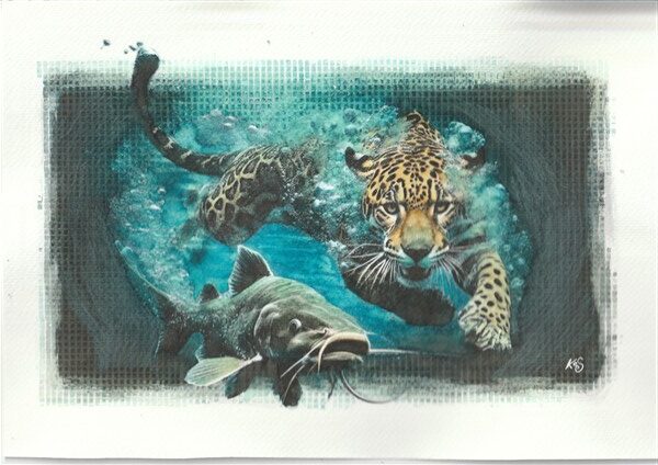 Watercolour painting by Kerrel Deakin of a Jaguar (Panthera onca) chasing a catfish (Brachyplatystoma vaillantii) through an abstract underwater background with dense bubbles.