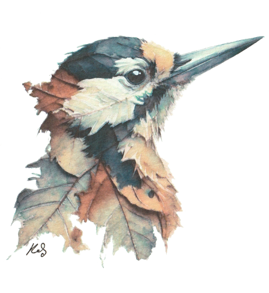 Painting of woodpecker resembling leaves