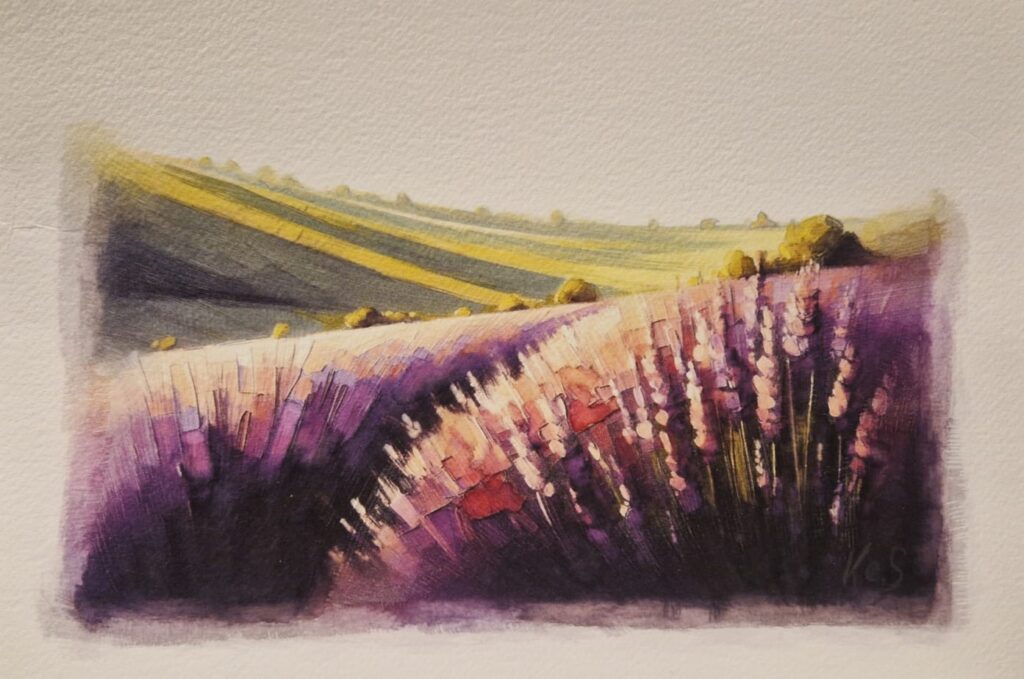 Watercolour painting by Kerrel Deakin of gentle hills with lavender plants (Genus: Lavandula) in the foreground.