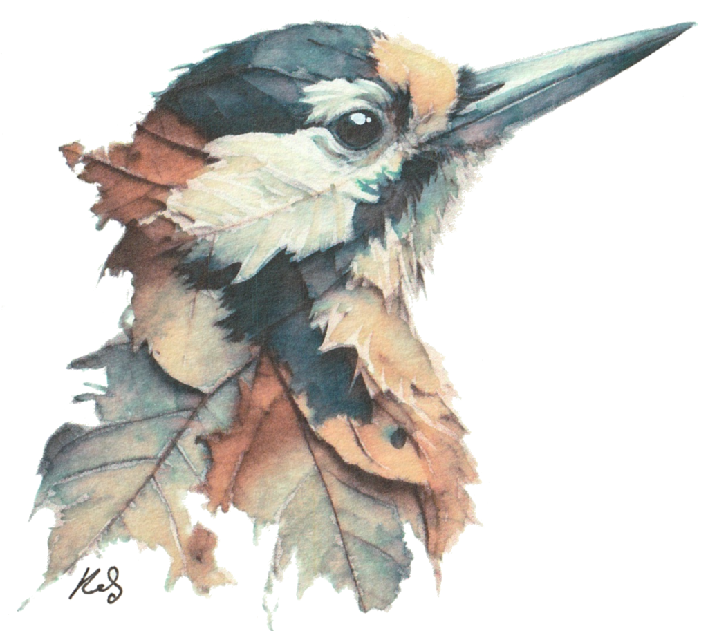 Abstract painting by Kerrel Deakin of a woodpecker resembling a collage of leaves.