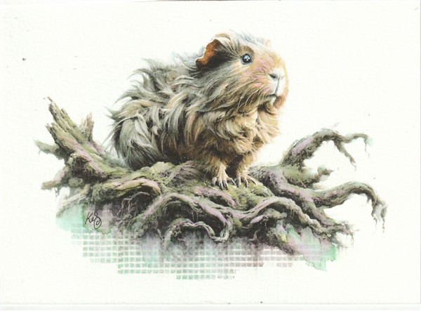Watercolour pawtrait by Kerrel Deakin of a guinea pig (Cavia porcellus) sitting on gnarled tree roots.
