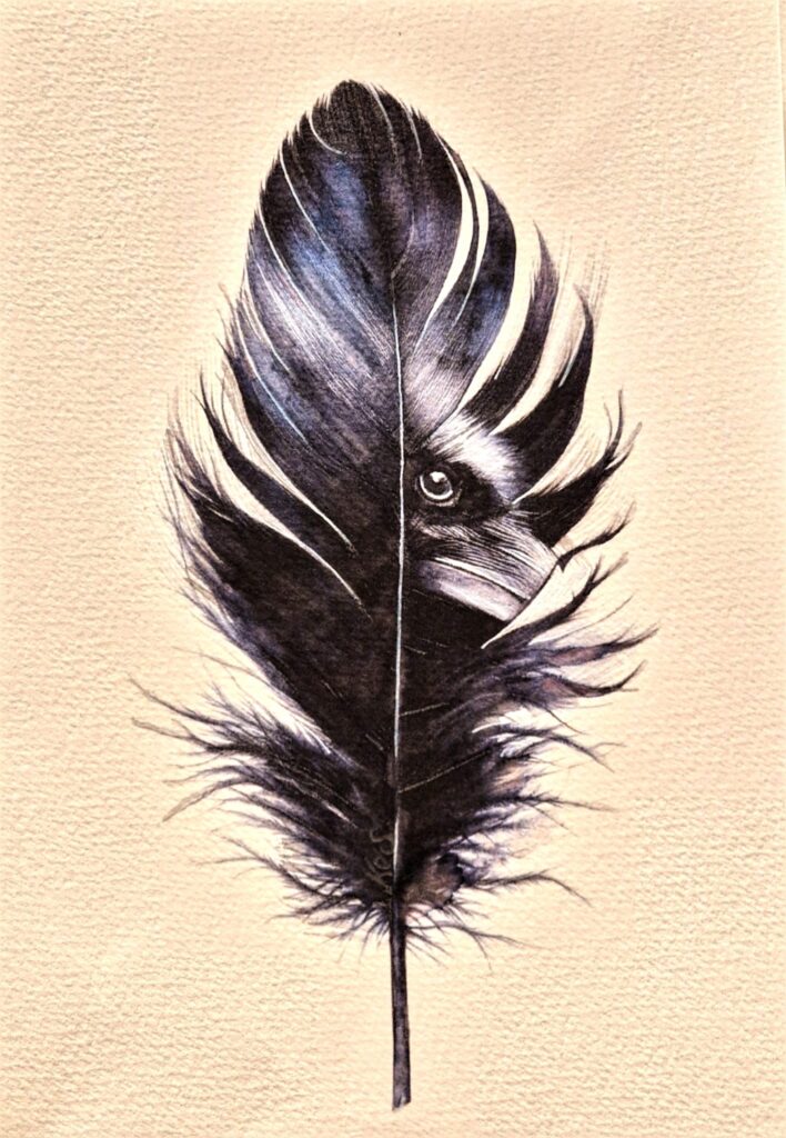 Abstract surrealist watercolour by Kerrel Deakin, of a Carrion Crow (Corvus corone) growing from a feather.