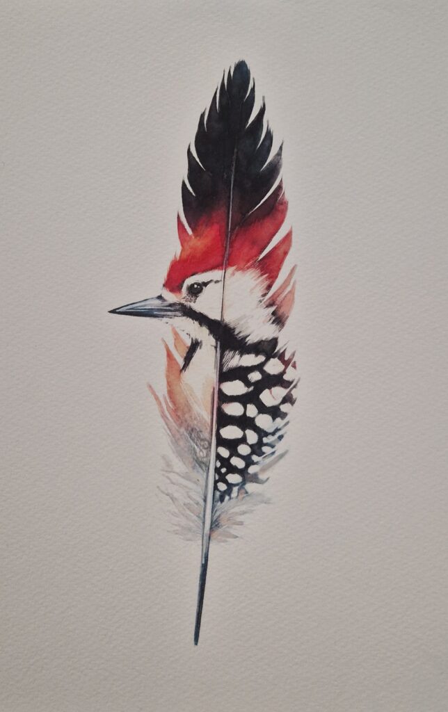 Abstract surrealist watercolour by Kerrel Deakin, of a Great-Spotted Woodpecker (Dendrocopos major) growing from a feather.