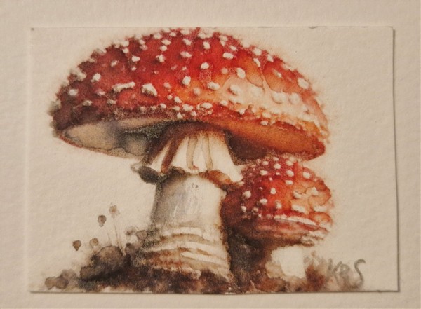 Miniature watercolour painting by Kerrel Deakin, of a cluster of two Fly Agaric mushrooms (Amanita muscaria) growing in an abstract background.