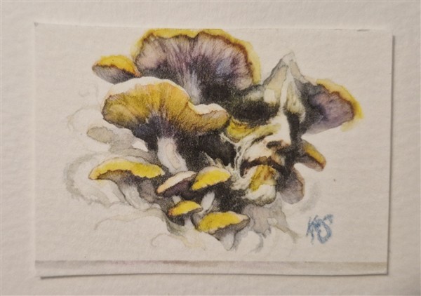 Miniature abstract surrealist watercolour by Kerrel Deakin, of a human face surrounded by giant yellow mushrooms.